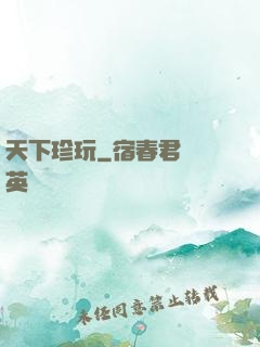 天下珍玩
